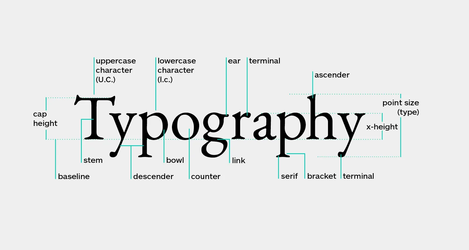 Fancy typography with the letter D.